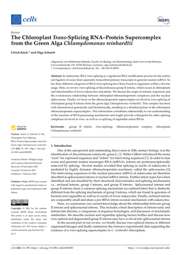 The Chloroplast Trans-Splicing RNA–Protein Supercomplex from the Green Alga Chlamydomonas Reinhardtii