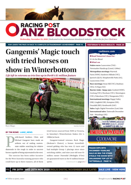Gangemis' Magic Touch with Tried Horses on Show in Winterbottom