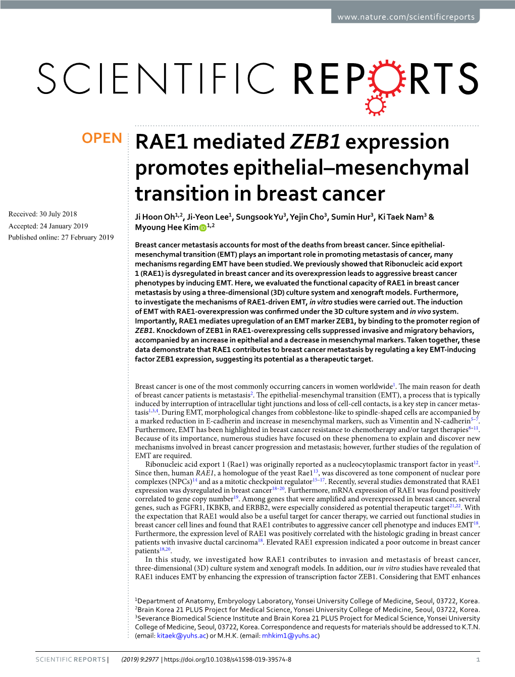 RAE1 Mediated ZEB1 Expression Promotes Epithelial–Mesenchymal