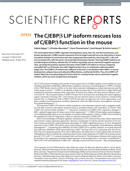 The C/Ebpβ LIP Isoform Rescues Loss of C/Ebpβ Function in the Mouse Valérie Bégay1,2, Christian Baumeier1,3, Karin Zimmermann1, Arnd Heuser4 & Achim Leutz 1,5