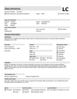 Itaya Amicorum LC Taxonomic Authority: H.E.Moore