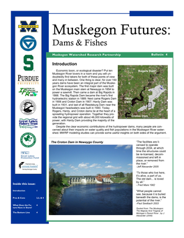 Muskegon Futures: Vol 4 Dams & Fishes