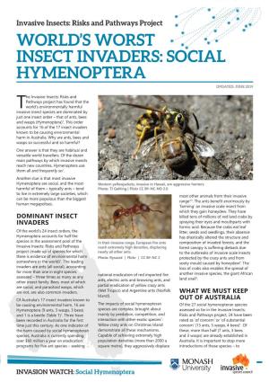 Social Hymenoptera