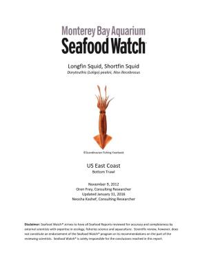 Longfin Squid, Shortfin Squid US East Coast