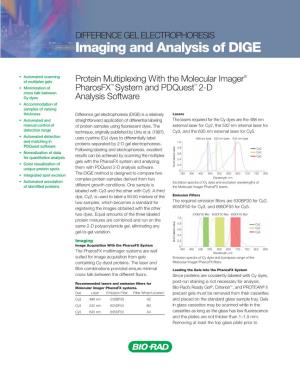 Imaging and Analysis of DIGE
