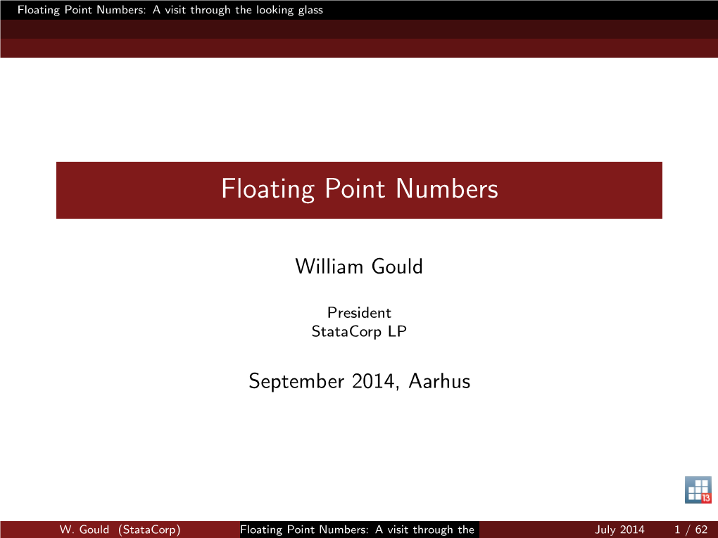 Floating Point Numbers: a Visit Through the Looking Glass