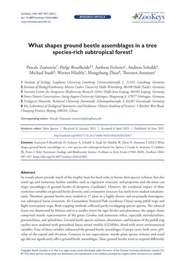 What Shapes Ground Beetle Assemblages in a Tree Species-Rich Subtropical Forest?
