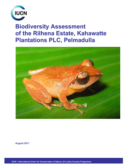 Biodiversity Assessment of the Rilhena Estate, Kahawatte Plantations PLC, Pelmadulla