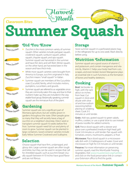 Classroom Bites Summer Squash Did You Know Storage • Zucchini Is the Most Common Variety of Summer Store Summer Squash in a Perforated Plastic Bag Squash