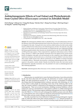 Antimelanogenesis Effects of Leaf Extract and Phytochemicals from Ceylon Olive (Elaeocarpus Serratus) in Zebraﬁsh Model
