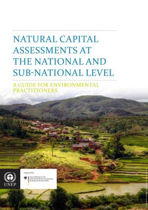 2252 Natural Capital Report.Indd