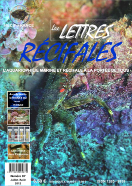 L'aquariophilie Marine Et Récifale À La Portée De Tous Récif France