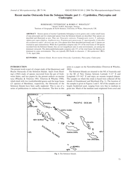 Recent Marine Ostracoda from the Solomon Islands: Part 1 – Cypridoidea, Platycopina and Cladocopina