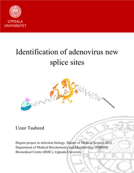 Identification of Adenovirus New Splice Sites