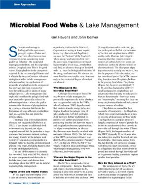 Microbial Food Webs & Lake Management
