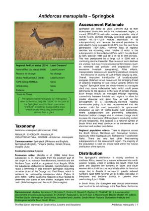 Antidorcas Marsupialis – Springbok