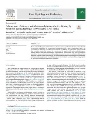 Enhancement of Nitrogen Assimilation and Photosynthetic Efficiency by T Novel Iron Pulsing Technique in Oryza Sativa L