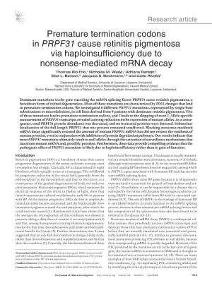 Premature Termination Codons in PRPF31 Cause Retinitis Pigmentosa Via Haploinsufficiency Due to Nonsense-Mediated Mrna Decay Thomas Rio Frio,1 Nicholas M
