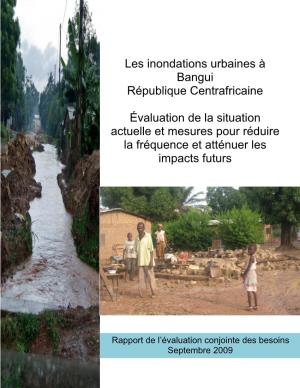 Inondations Récurrentes À Bangui: Évaluation Conjointe Des Besoins