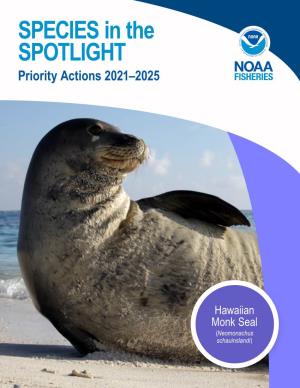 Species in the Spotlight—Hawaiian Monk Seal