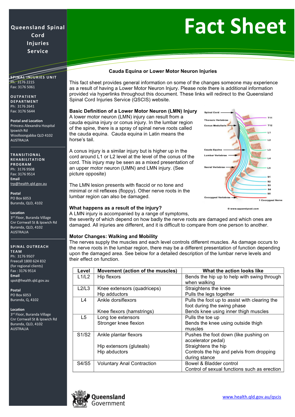 Cauda Equina Or Mower Motor Neurone Injuries