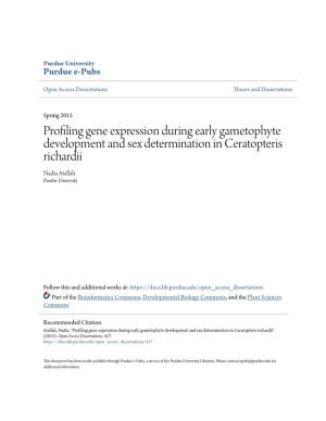 Profiling Gene Expression During Early Gametophyte Development and Sex Determination in Ceratopteris Richardii Nadia Atallah Purdue University
