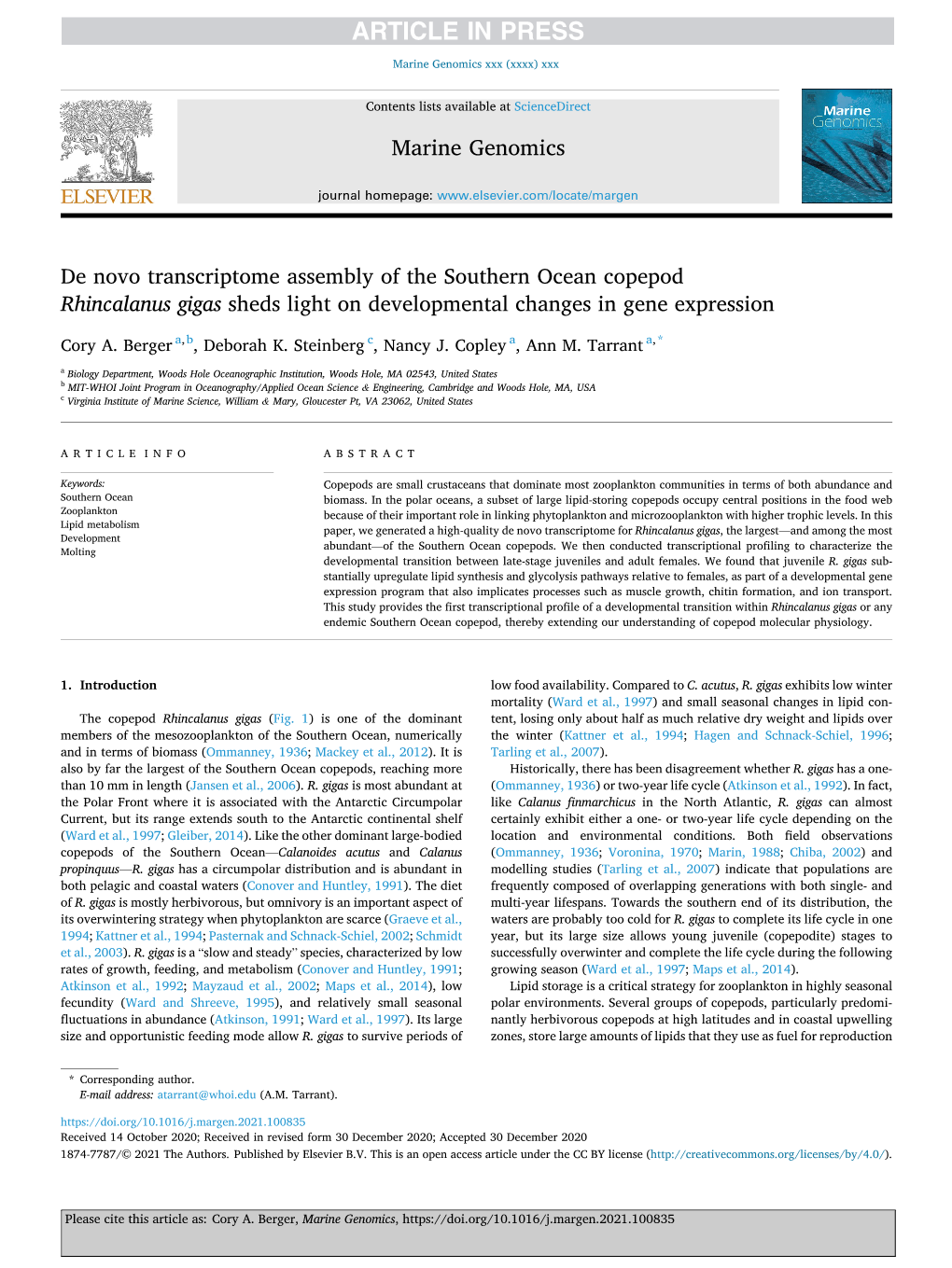 De Novo Transcriptome Assembly of the Southern Ocean Copepod Rhincalanus Gigas Sheds Light on Developmental Changes in Gene Expression