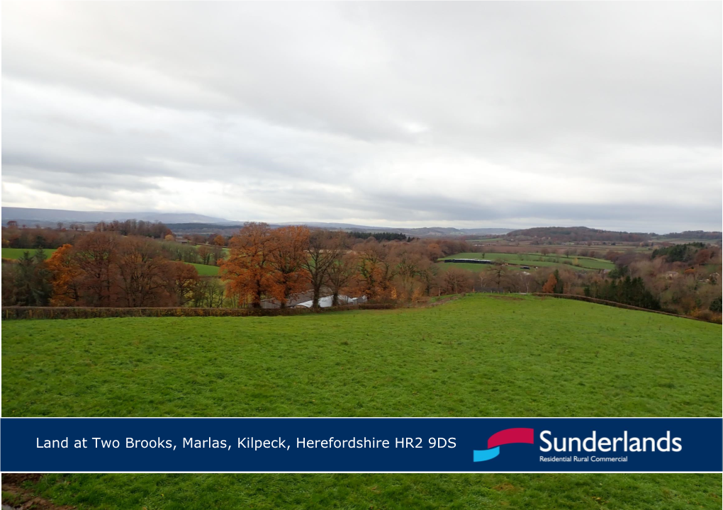 Land at Two Brooks, Marlas, Kilpeck, Herefordshire HR2 9DS Situation: Eligible Against Entitlements Held of 7.66 Hectares