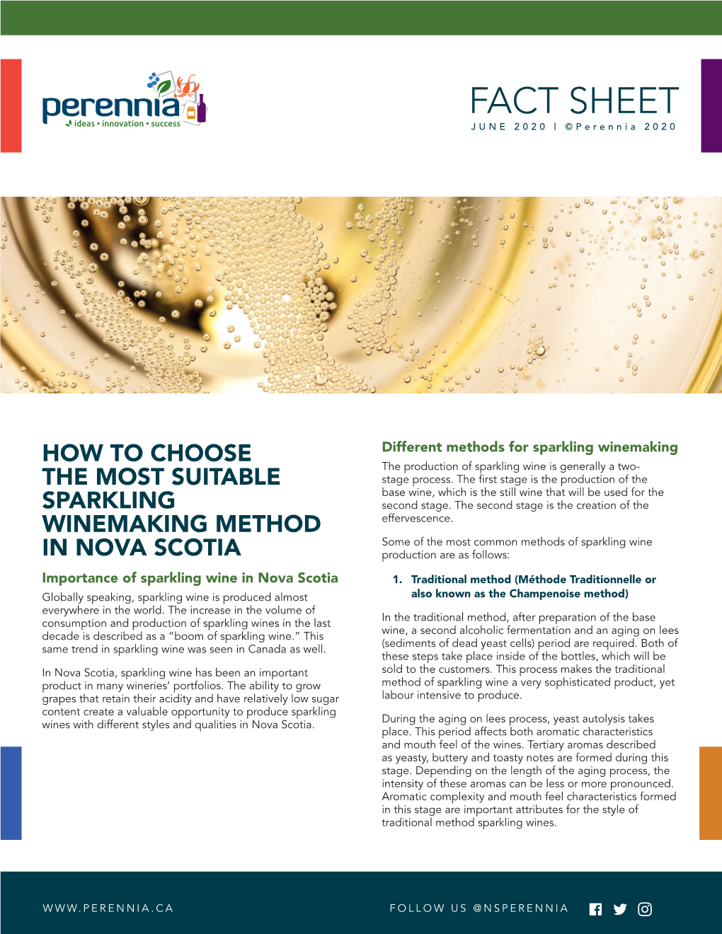 How to Choose the Most Suitable Sparkling Winemaking