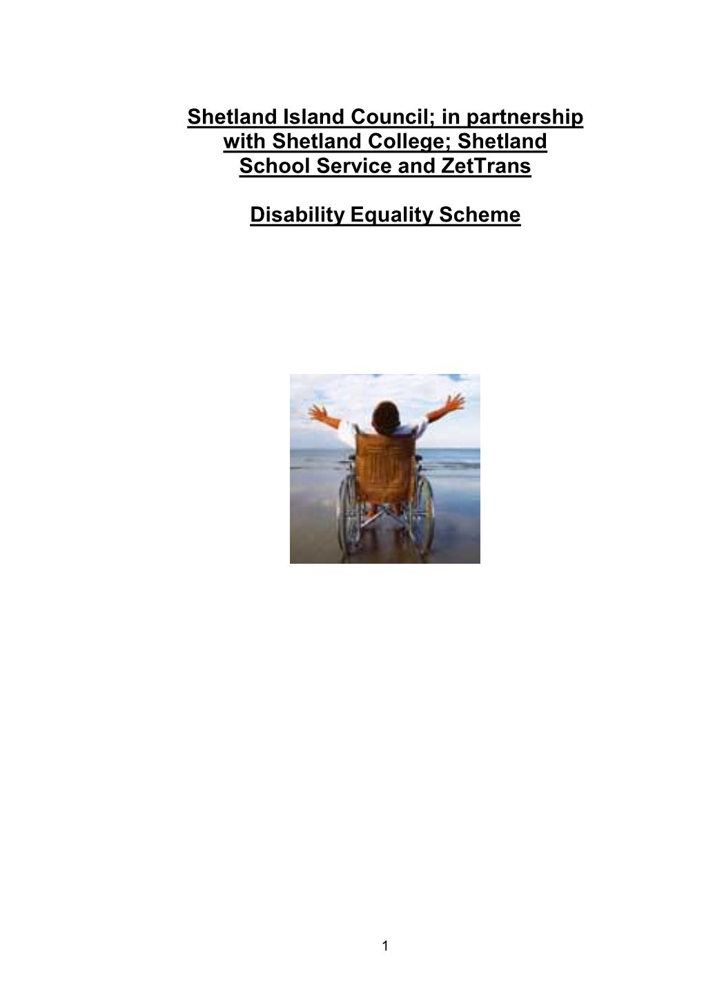 Аshetland School Service and Zettrans Disability Equality Scheme