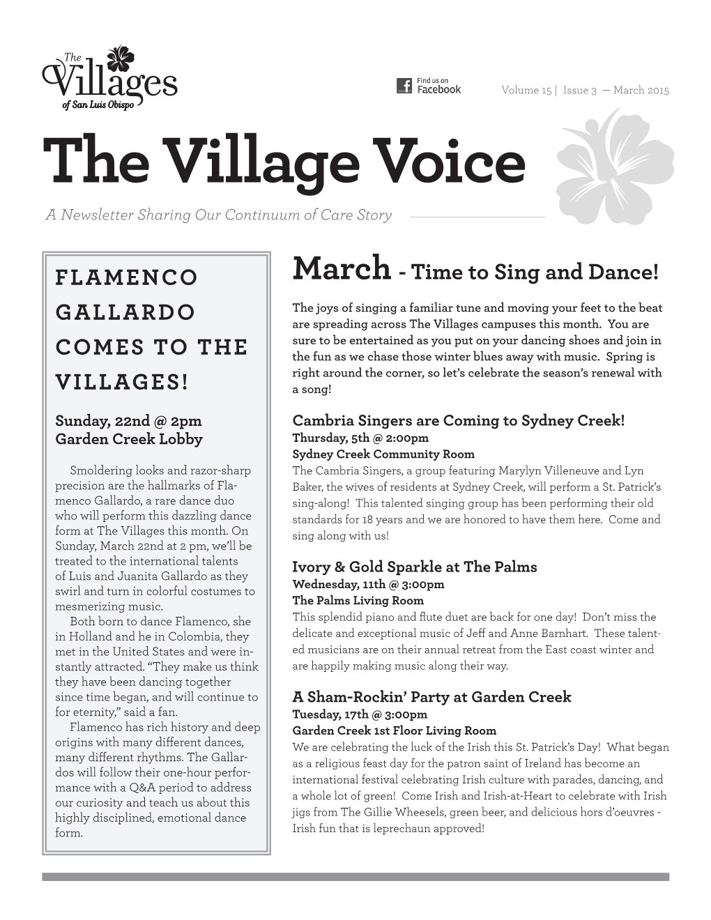 The Village Voice a Newsletter Sharing Our Continuum of Care Story