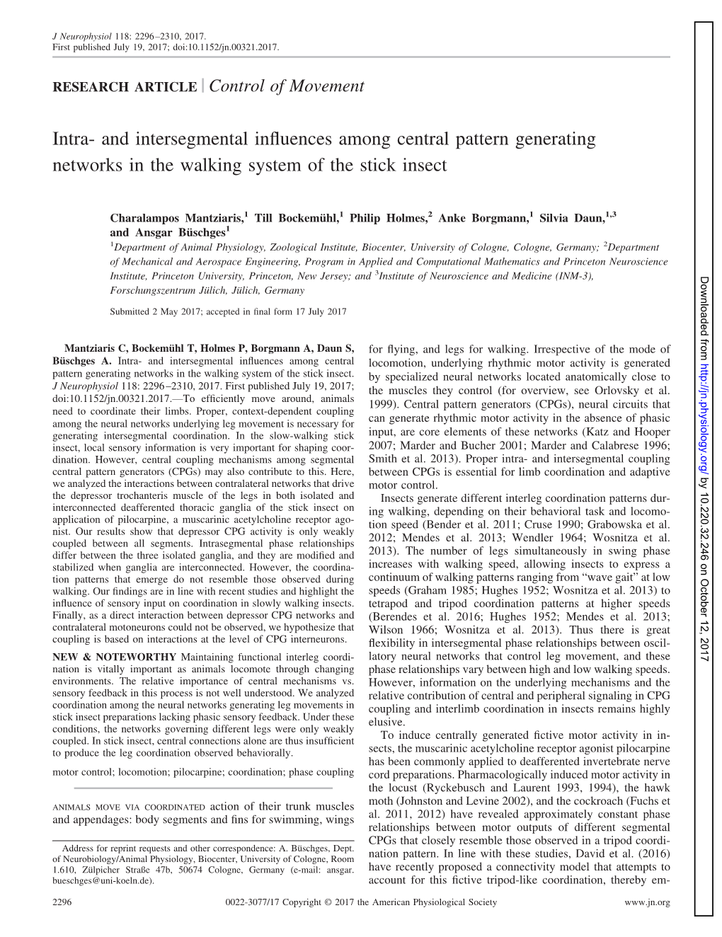 Intra- and Intersegmental Influences Among Central Pattern Generating Networks in the Walking System of the Stick Insect
