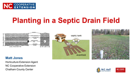 Planting in a Septic Drain Field