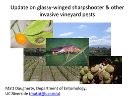 Update on Glassy-Winged Sharpshooter & Other Invasive