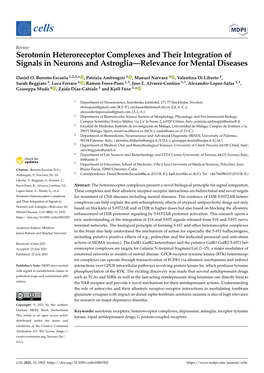 Serotonin Heteroreceptor Complexes and Their Integration of Signals in Neurons and Astroglia—Relevance for Mental Diseases