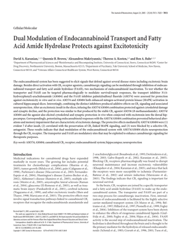 Dual Modulation of Endocannabinoid Transport and Fatty Acid Amide Hydrolase Protects Against Excitotoxicity