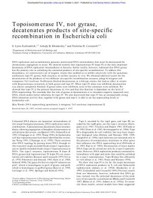 Topoisomerase IV, Not Gyrase, Decatenates Products of Site-Specific Recombination in Escherichia Coli