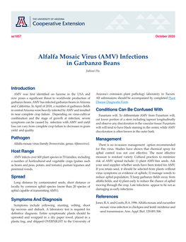Alfalfa Mosaic Virus (AMV) Infections in Garbanzo Beans Jiahuai Hu