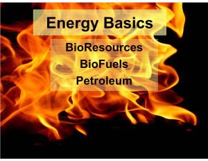 Energy Basics Bioresources Biofuels Petroleum Biomass Energy