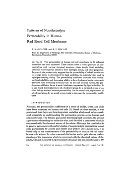 Patterns of Nonelectrolyte Permeability in Human Red Blood Cell Membrane