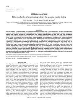 RESEARCH ARTICLE Strike Mechanics of an Ambush Predator: the Spearing Mantis Shrimp