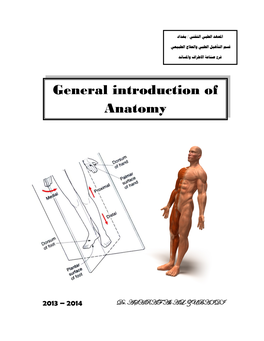 General Introduction of Anatomy