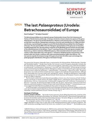(Urodela: Batrachosauroididae) of Europe Davit Vasilyan1,2* & Vadym Yanenko3