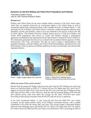 Dynamics of Lake Erie Walleye and Yellow Perch Populations and Fisheries Todd Wills and Mike Thomas Lake St
