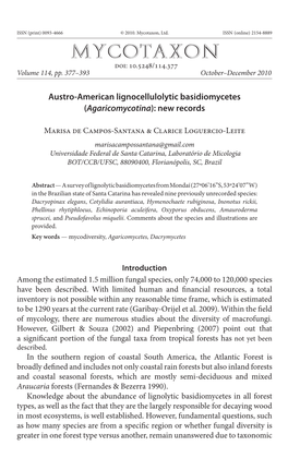 Austro-American Lignocellulolytic Basidiomycetes (Agaricomycotina): New Records