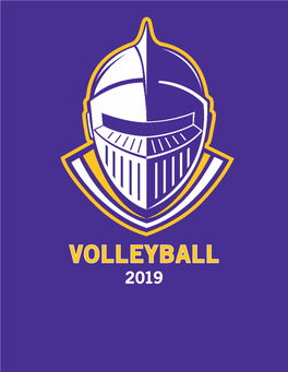 Volleyball 2019