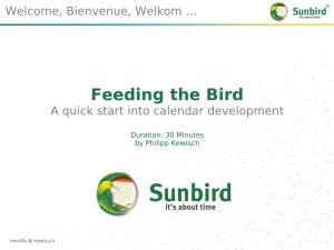 Feeding the Bird a Quick Start Into Calendar Development