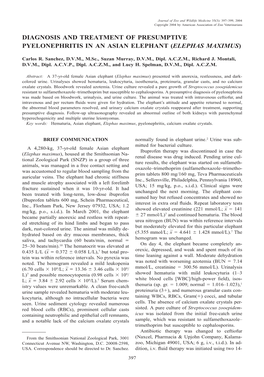 Diagnosis and Treatment of Presumptive Pyelonephritis in an Asian Elephant (Elephas Maximus)