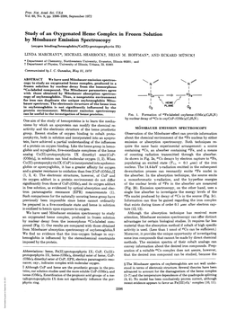 Study Ofan Oxygenated Heme Complex in Frozen Solution