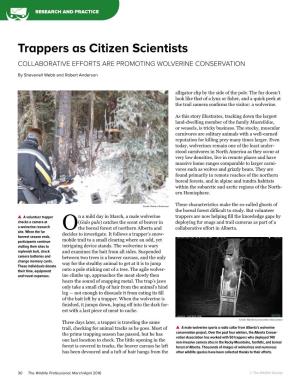 Trappers As Citizen Scientists. the Wildlife Professional